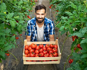 Benefits of Organic Farming for a Healthy Lifestyle
