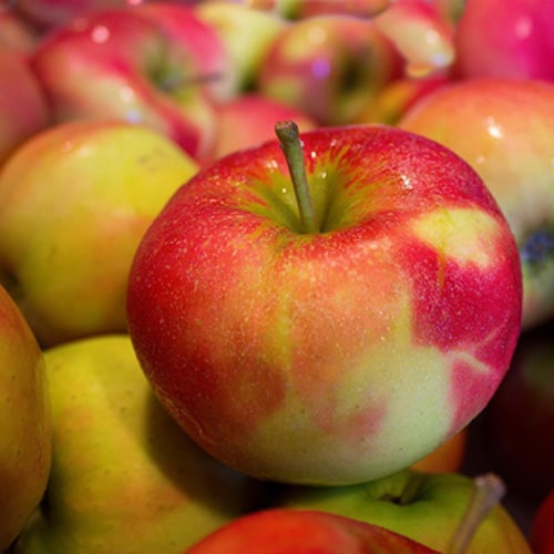 apple