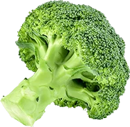 Organic Brocolli